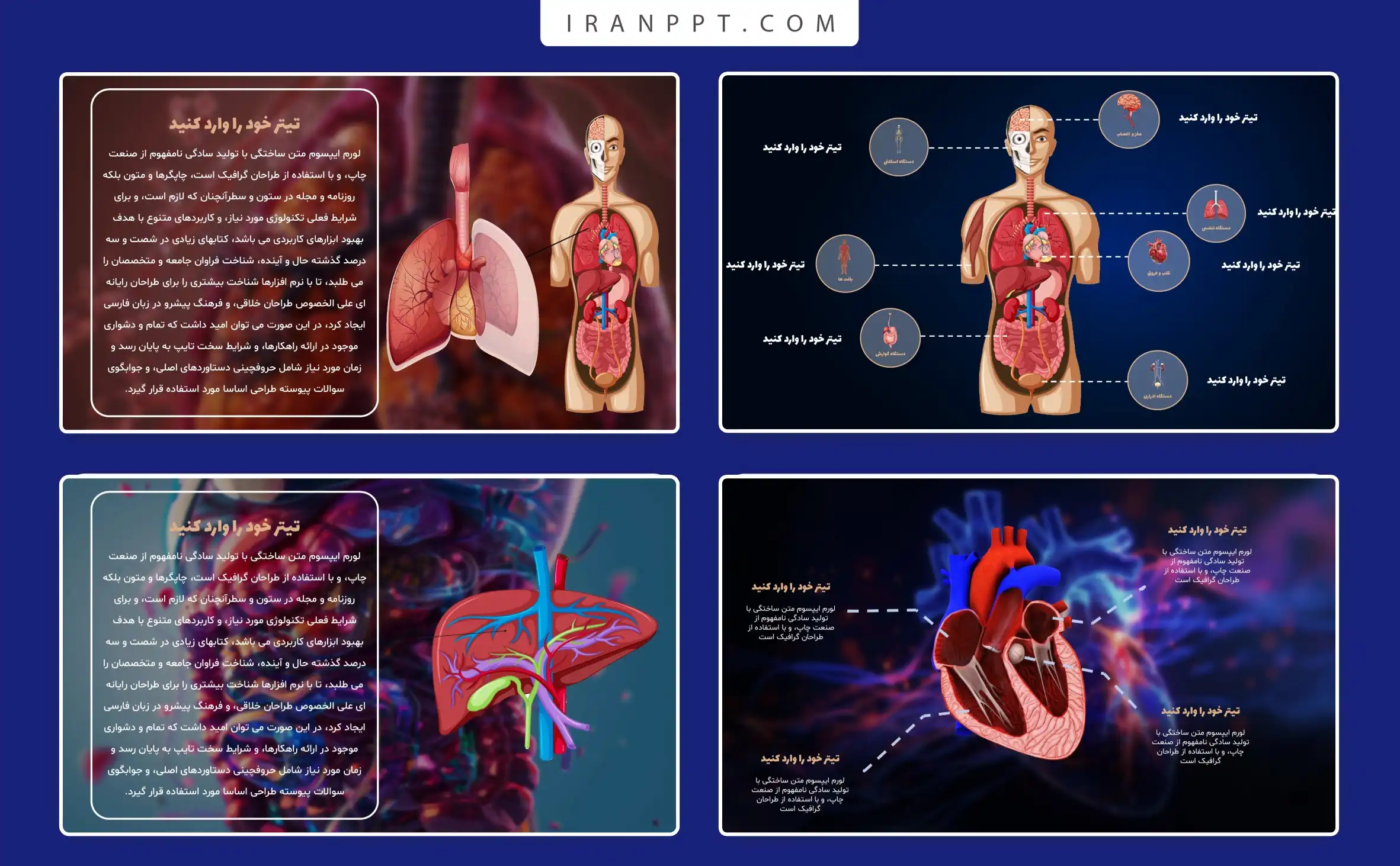 قالب پاورپوینت آناتومی بدن انسان