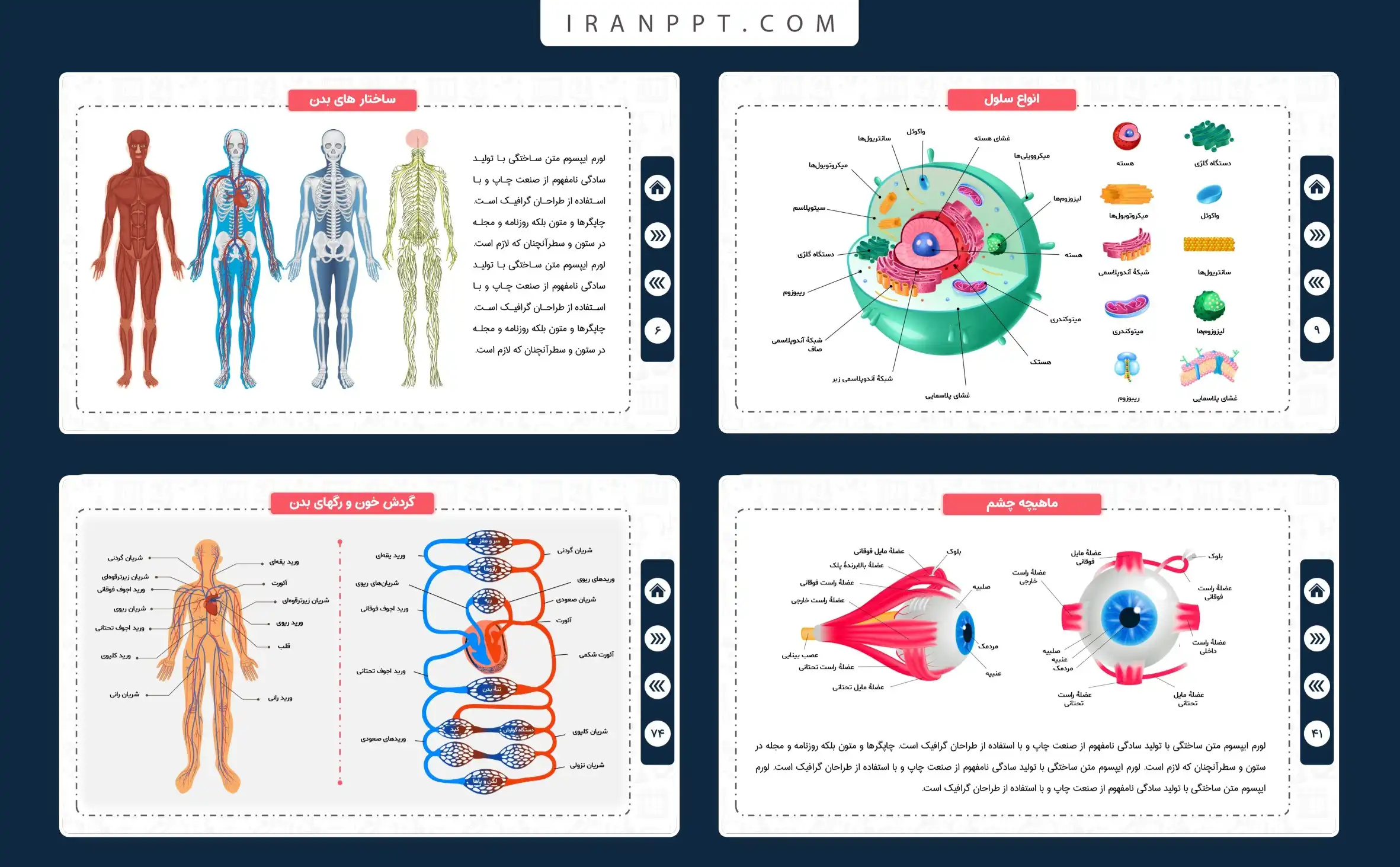 قالب پاورپوینت آناتومی
